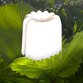 fondants